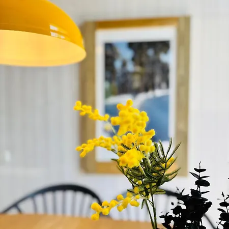 Holiday home Trollblume - Im Harz Sankt Andreasberg