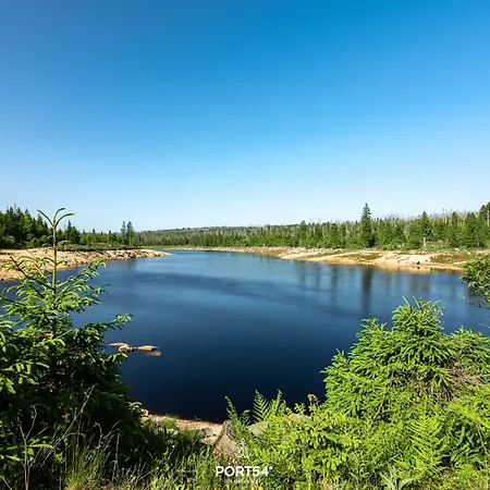 Holiday home Trollblume - Im Harz *
