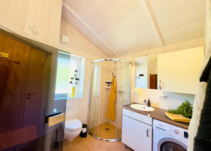 Trollblume - Im Harz